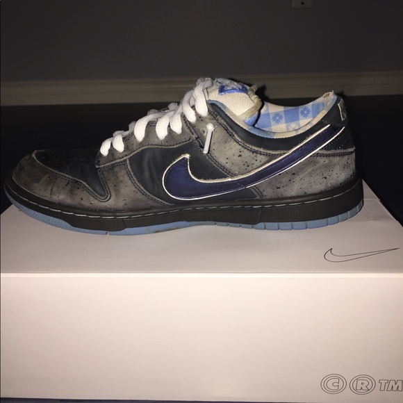 Nike SB Blue Lobster Dunk - Picture 14 of 16